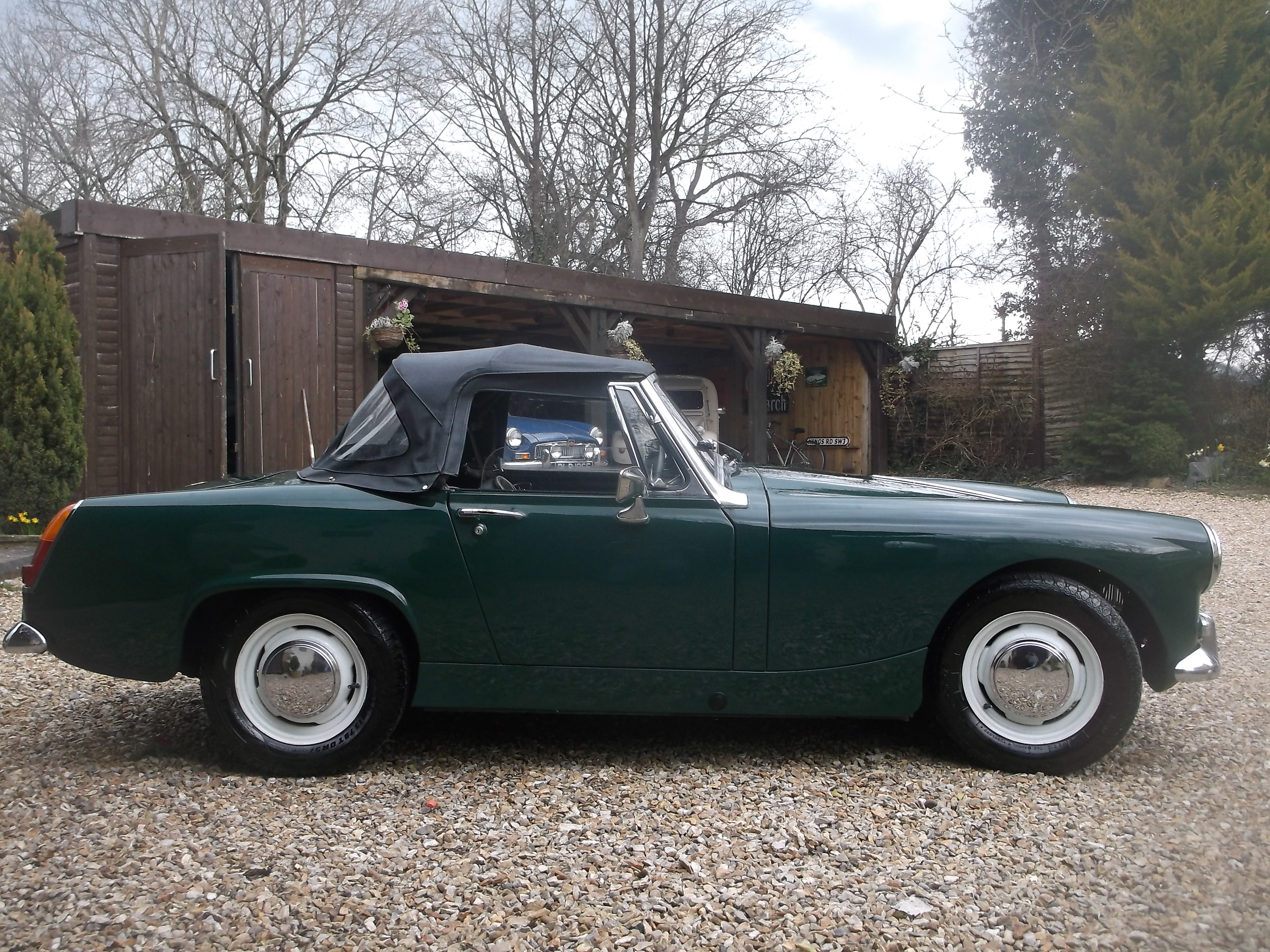 Mg Midget Models Sex Photo